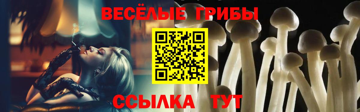 Копейск  Галлюциногенные грибы прущие грибы  Вход с VPN 